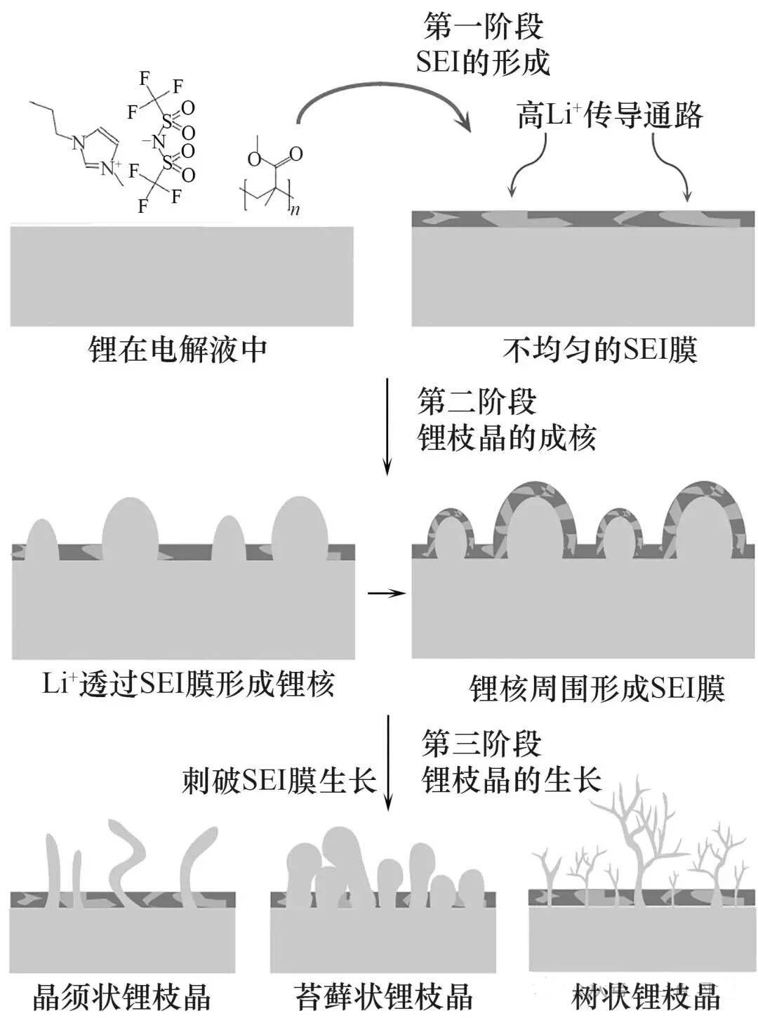 锂枝晶的形成与生长 - 电池体系
